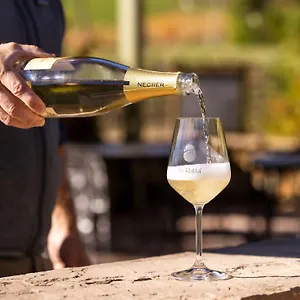 https://agriturismo-la-ratta.emilia-romagnahotels.net